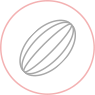 ico_cacao-fino