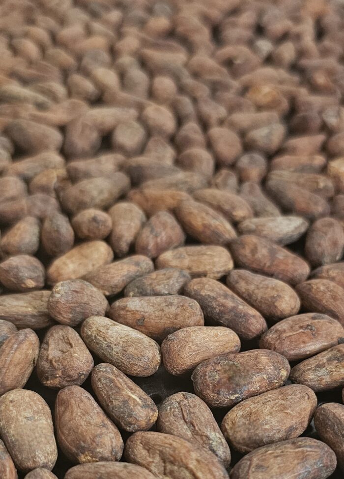 CACAO FINO TOSTADO / 250g / MIX AROMÁTICO – TOCACHE, PERÚ