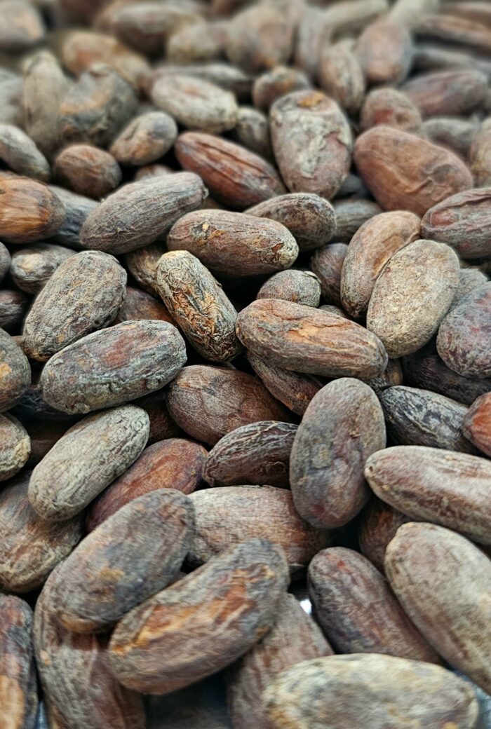 CACAO FINO TOSTADO / 250g / MIX AROMÁTICO – TOCACHE, PERÚ - Image 2